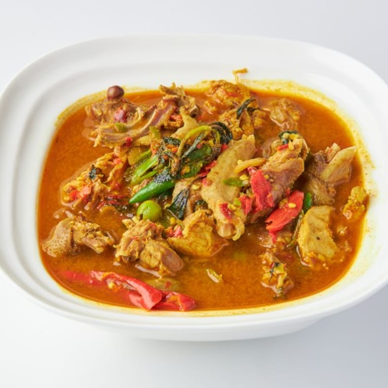 Curry Creations: Indian Delights and More